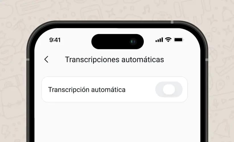 /automatic-transcriptions/es/es-2.webp